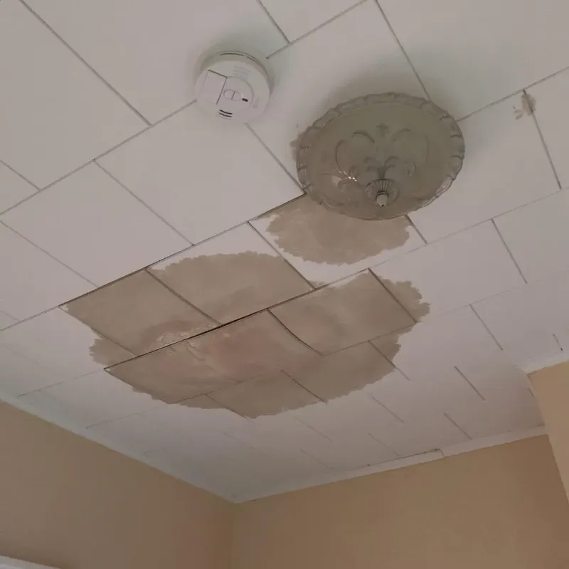 Ceiling Water Damage Repair in Warrington, FL